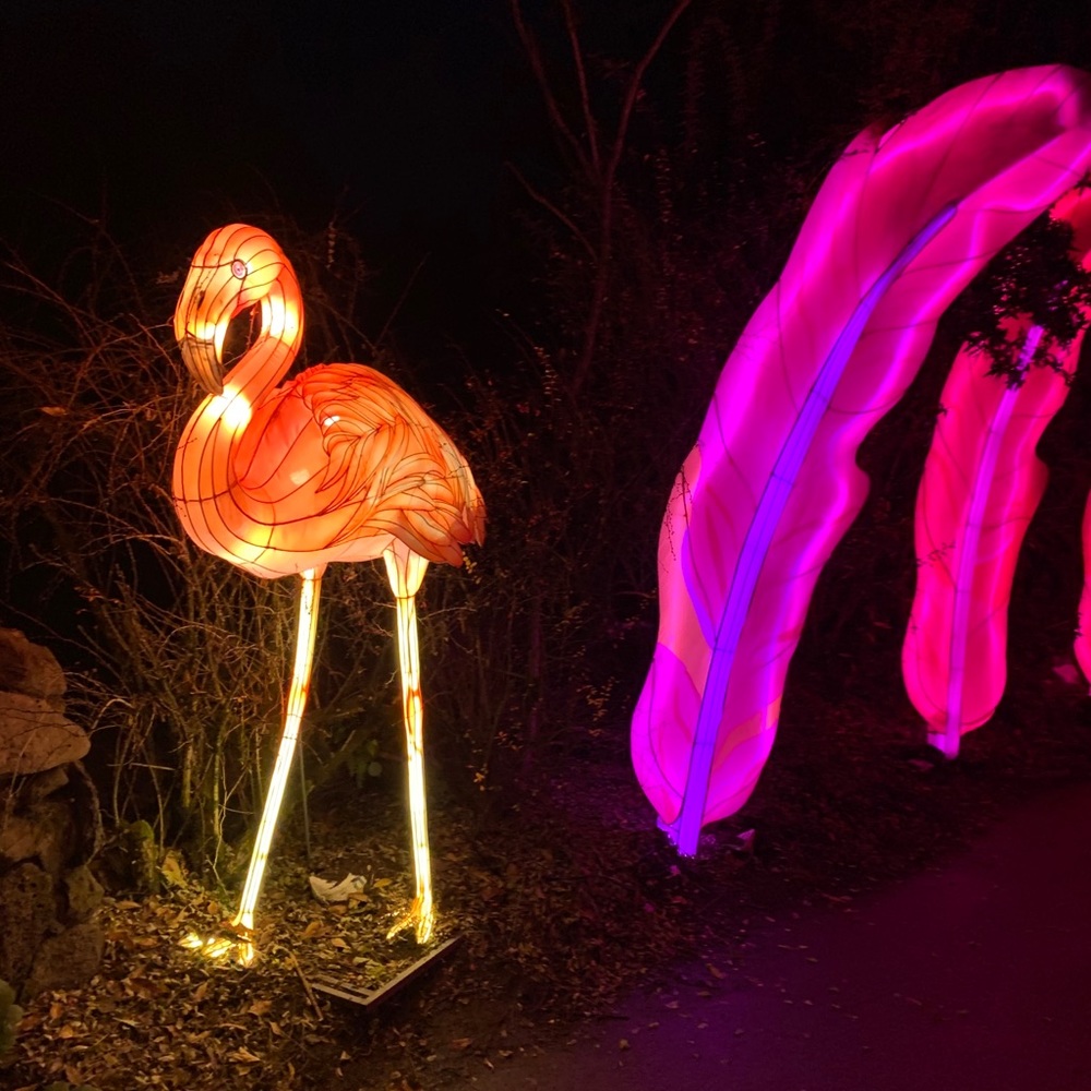 Meet your Posher, Alexa